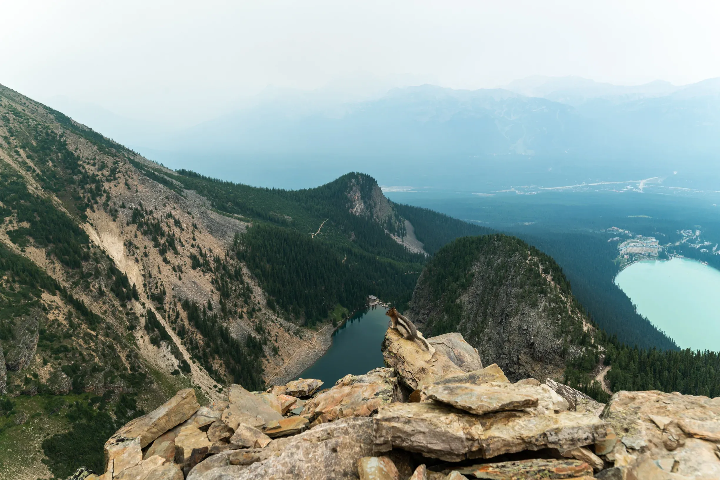 Just taking in the view from his backyard