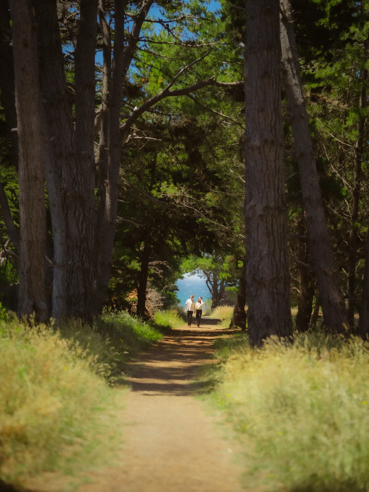 Alexa + Ondrej gallery image 5