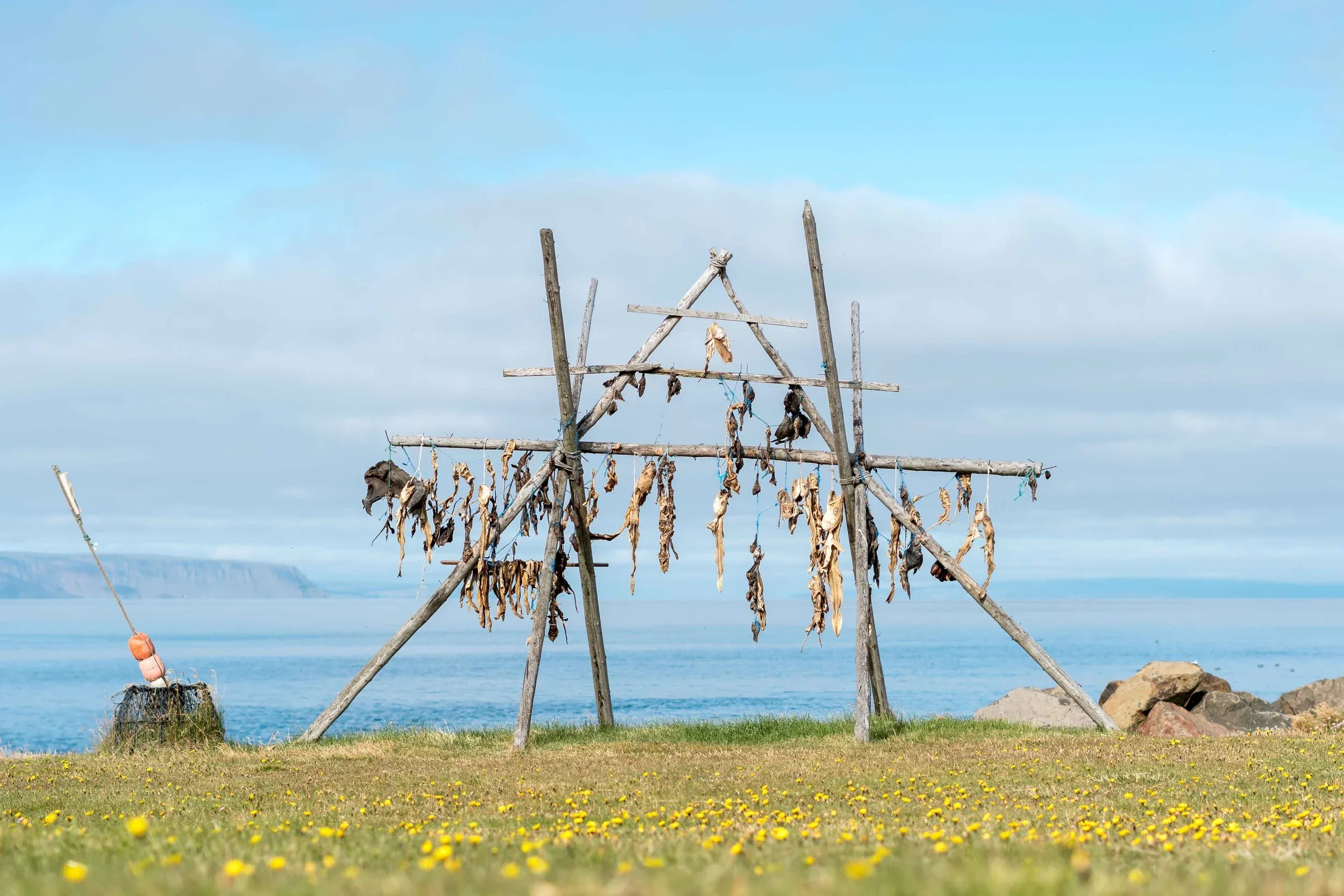 Fish drying on a wooden rack by the sea under a pale blue sky.